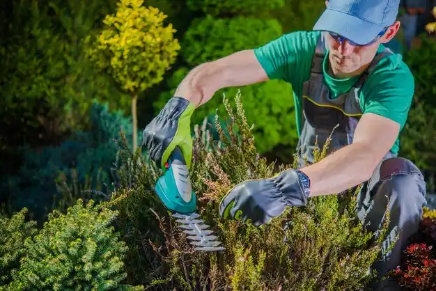 landscaping services Ceresco